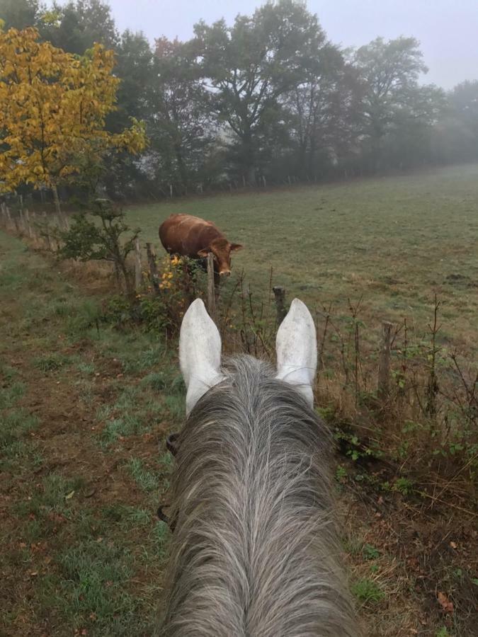 Ferme Gite Equestre En Charente Confolens Eksteriør billede